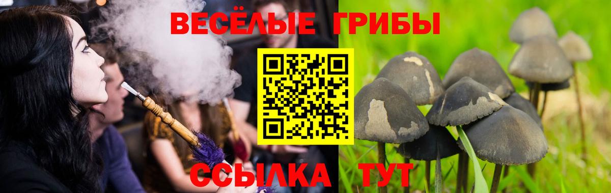 Юрга  Псилоцибиновые грибы GOLDEN TEACHER  Галлюциногенные грибы ЛСД  Вход с VPN 