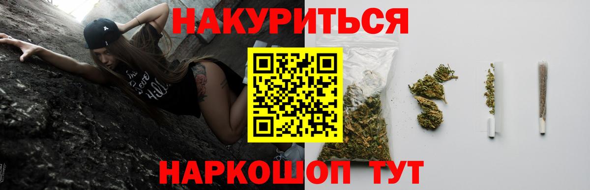 Бошки Шишки планчик Юрга